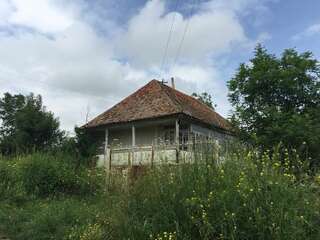 Фото Дома для отпуска Kruglaya Shishka eco ethno agro village г. Tashir